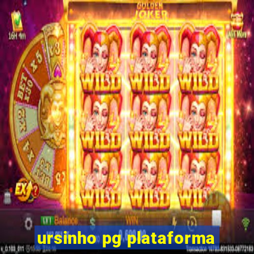 ursinho pg plataforma